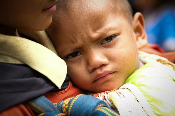 Allianz vs macif : quelle assurance auto choisir en 2026 ?